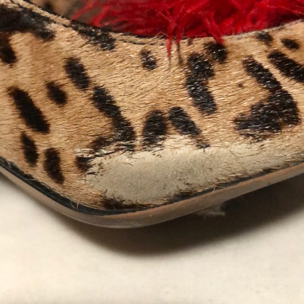 Sam Edelman - Picture 10 of 10